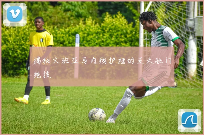 揭秘文班亚马内线护框的五大独门绝技